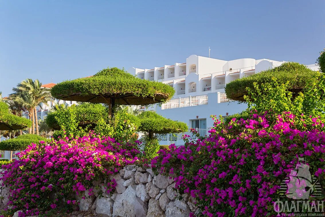 Savita resort spa. Отель в египте siva sharm. шарм-эль-шейх отель сива шарм. savita resort spa 5 шарм-эль-шейх. siva sharm resort spa 4 шарм-эль-шейх.