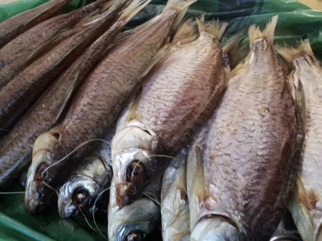 Вяленая рыба вобла. Чебак и пелядь. Чудская вяленая рыба. Таранка рыба. Плотва рыба вяленая.