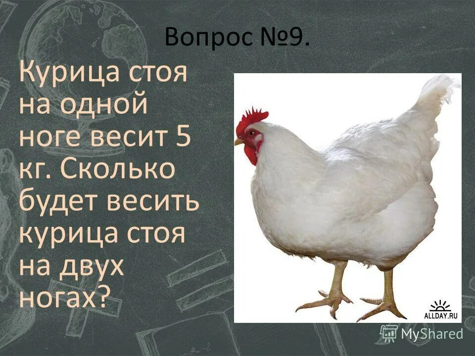 Сколько вес курицы