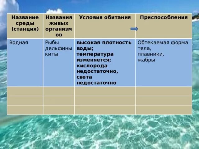 Колебания температуры в водной среде обитания. Водная среда обитания условия среды. Приспособление к условиям водной среды. Характеристика водной среды. Условия в пводная среде обитания.