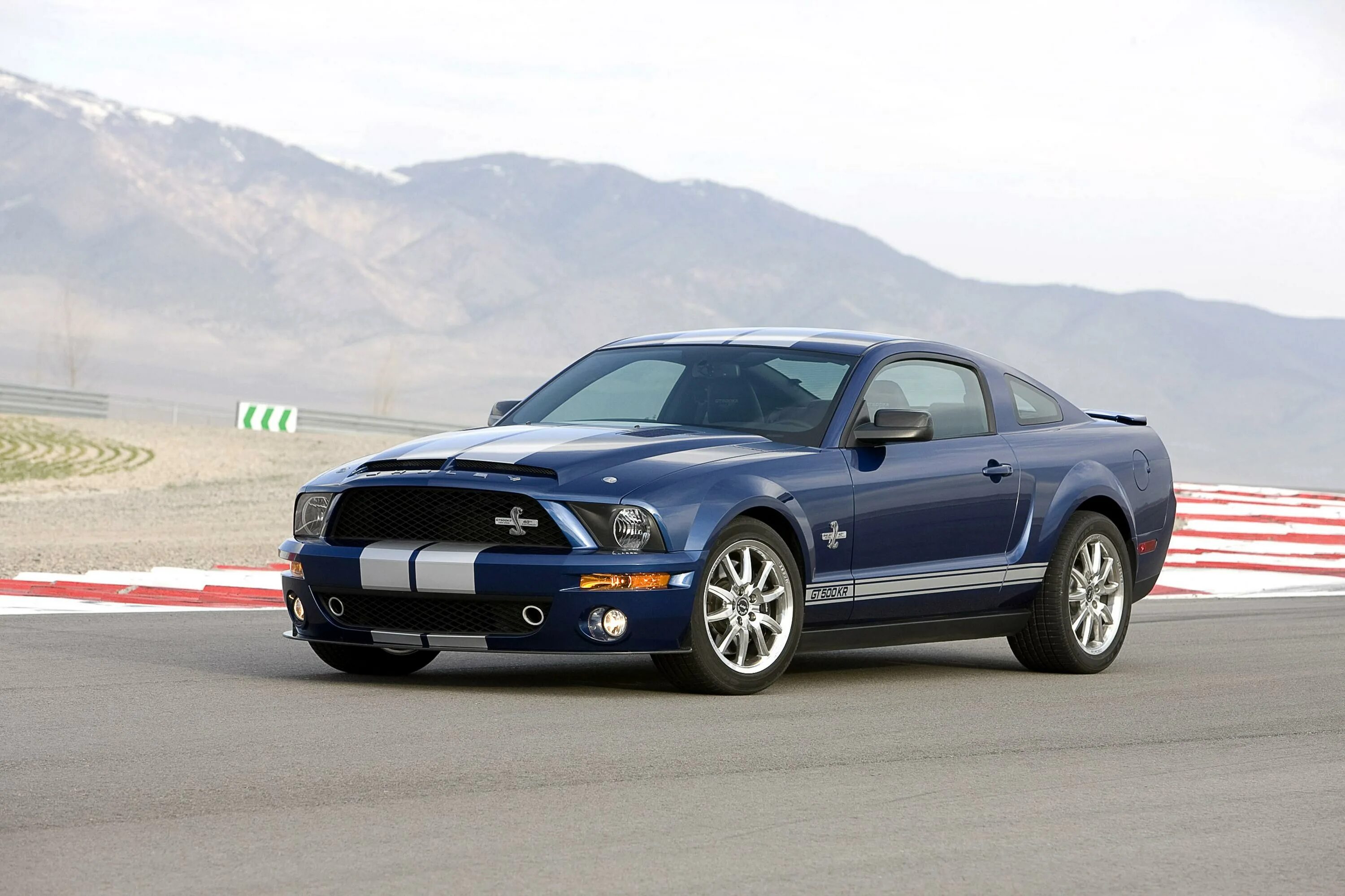 Форд Мустанг Шелби gt 500. Ford Shelby gt500kr 2008. Форд Мустанг Шелби 2008. Ford Mustang Shelby gt500kr 2008. Мустанг на русском языке