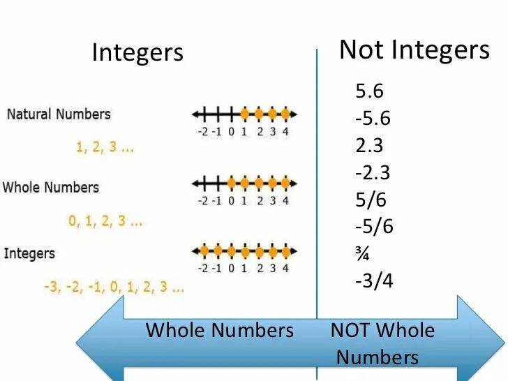 Integer числа. Integer numbers. whole numbers and integers. positive integer number. int number.