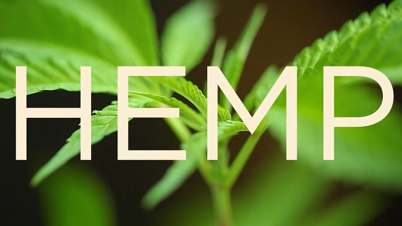 Гринвей 7. Hemp beauty collection уходовая косметика. крема хемп гринвей. крем hemp greenway. линейка hemp гринвей.