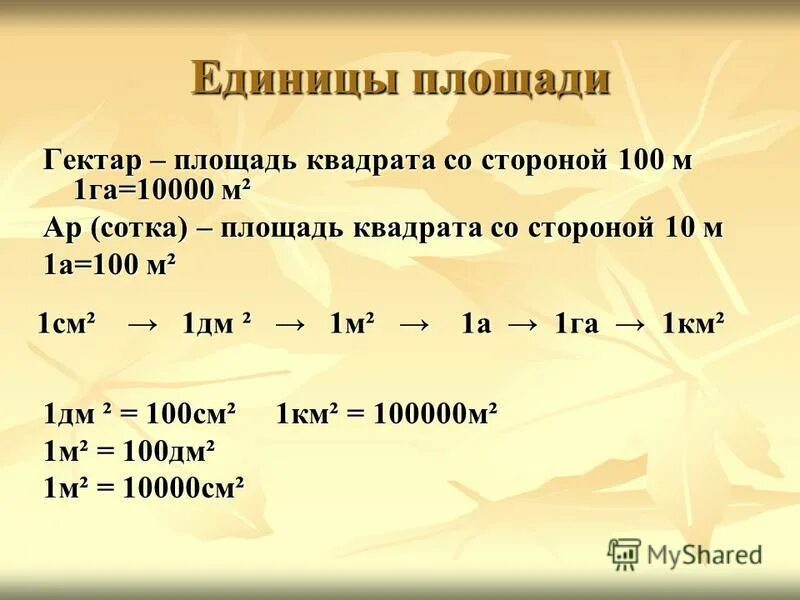 10000 га. 10000 га
