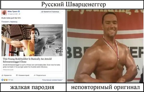 Шварценеггер перевод на русский