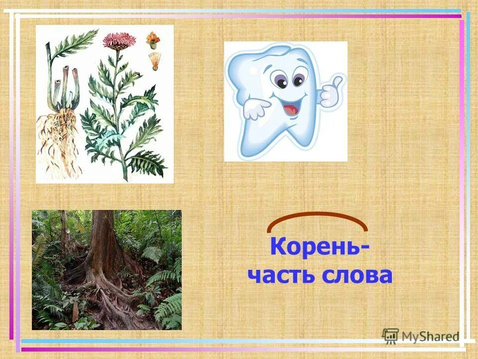 строение корня. корни лаг лож примеры. корень однокоренные слова. оазбор слово по составу. стихи про родственные слова.