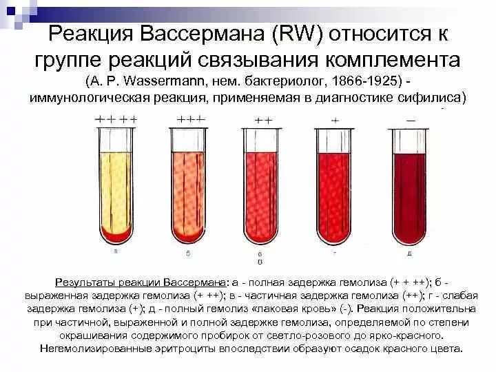 Реакция комплемента микробиология. Реакция комплемента микробиология
