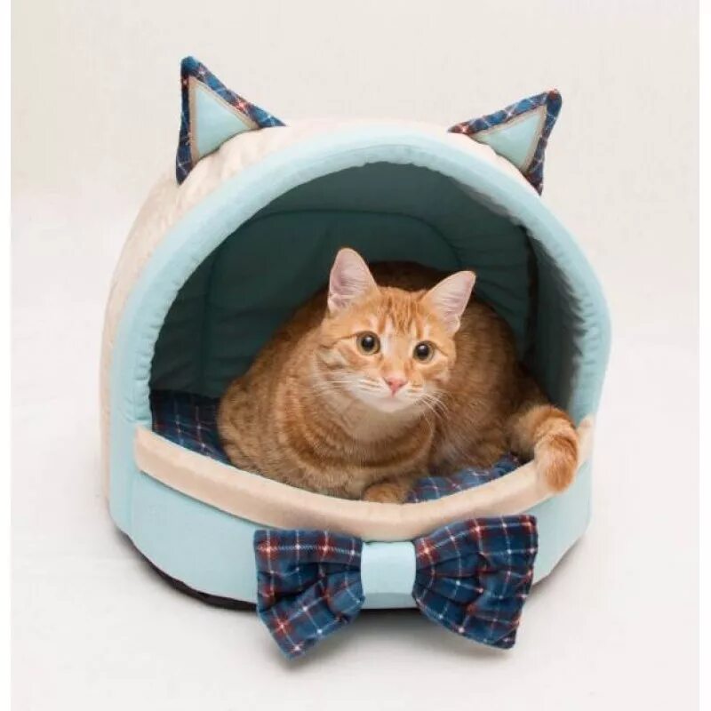 Лежанка для кота. Лежанка для кошки своими руками. Лежанка для кошки. Как сделать лежанку для кота своими руками. Лежанка для кота.