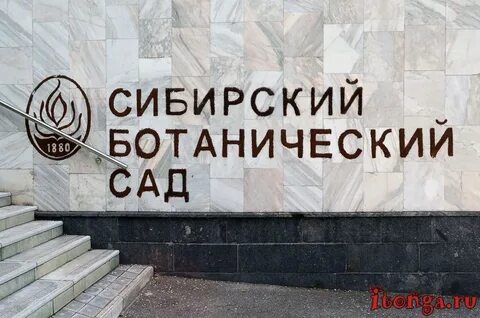 Tomsk sad