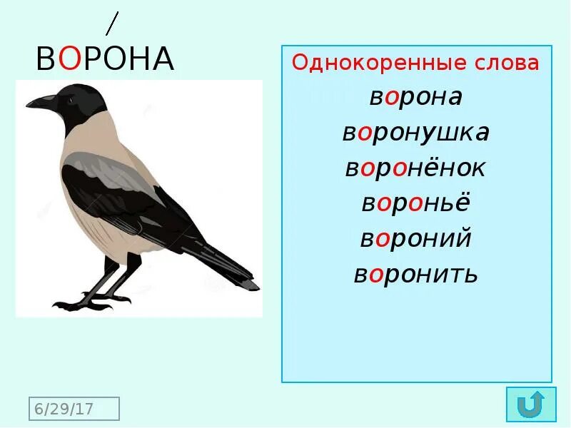 Скороговорка про ворону. Проворонила ворона вороненка. Скороговорки про ворон. Праваронила Варона воронеонка. Собака однокоренные слова