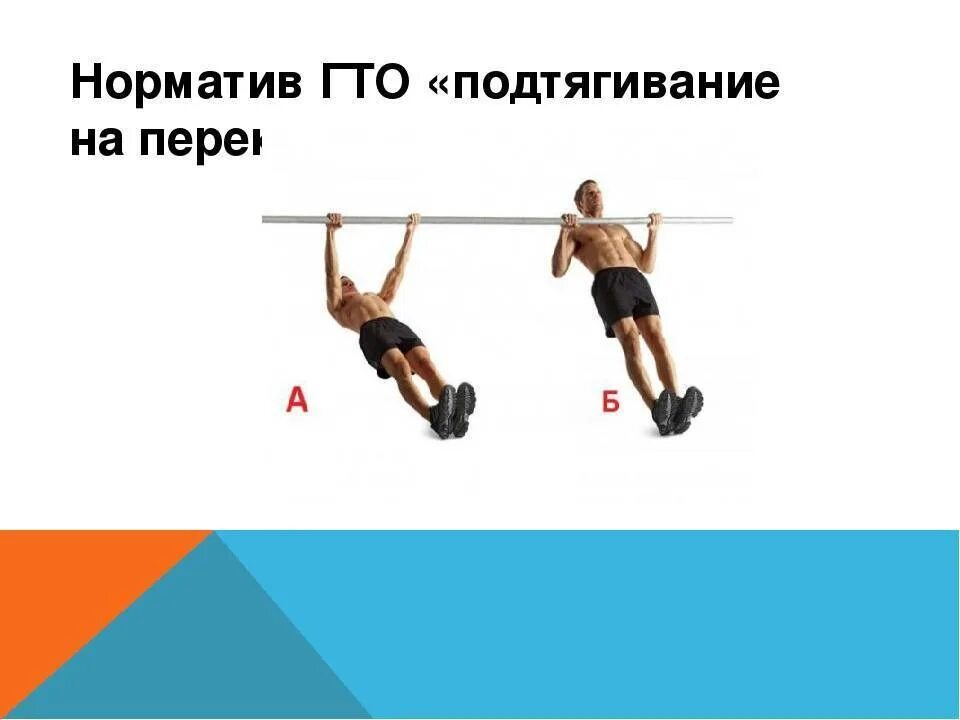 Техника выполнения подтягивания из виса лежа. Подтягивание из виса лежа. Подтягивания на турнике. Подтягивание на низкой перекладине. Подтягивание из виса на перекладине.