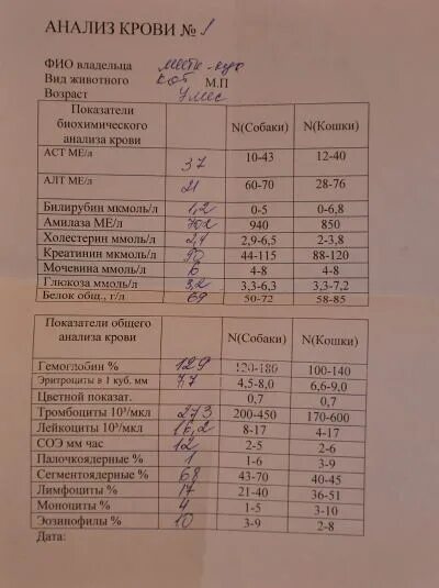 Норма биохимического анализа амилаза. Анализ мочи на амилазу. Норма биохимического анализа амилаза. Амилаза анализ. Норма биохимического анализа амилаза.