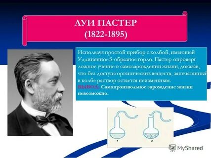 Луи пастер открытия в биологии