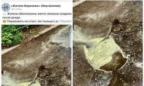 Лужи после этого дождя всегда теплые словосочетания
