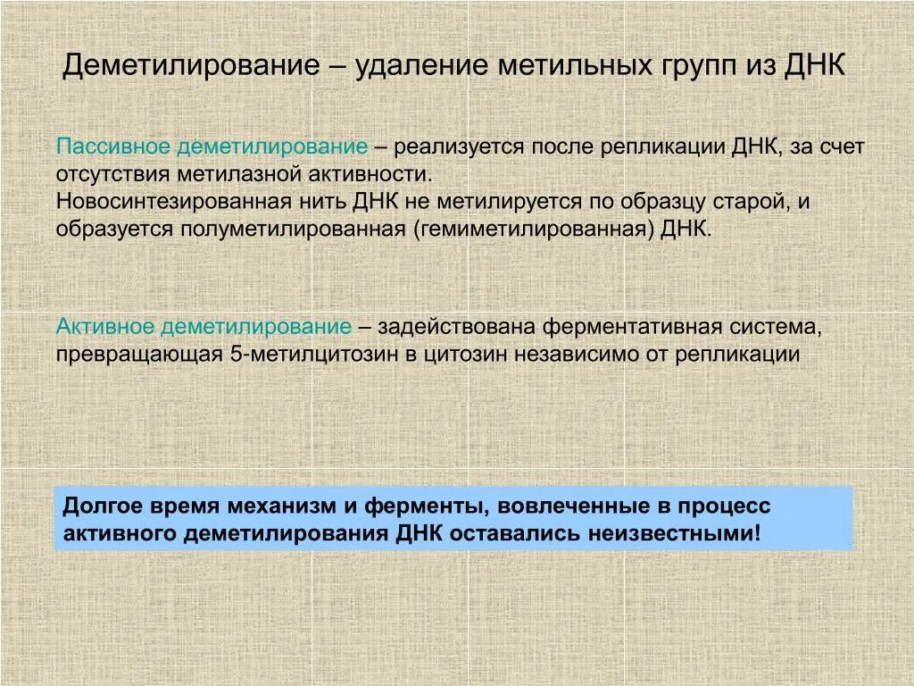 Присоединение метильной группы к днк. Метильные группы удаляются из днк пассивно. деметилирование. деметилирование днк ферменты. активное деметилирование днк.