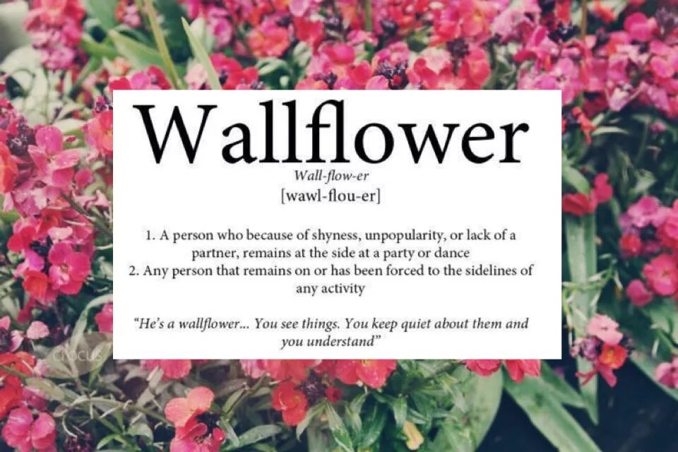 The park of being a wallflower. Wallflower перевод. The perks of being a wallflower. The perks of being a wallflower book. The perks of being a wallflower emily.