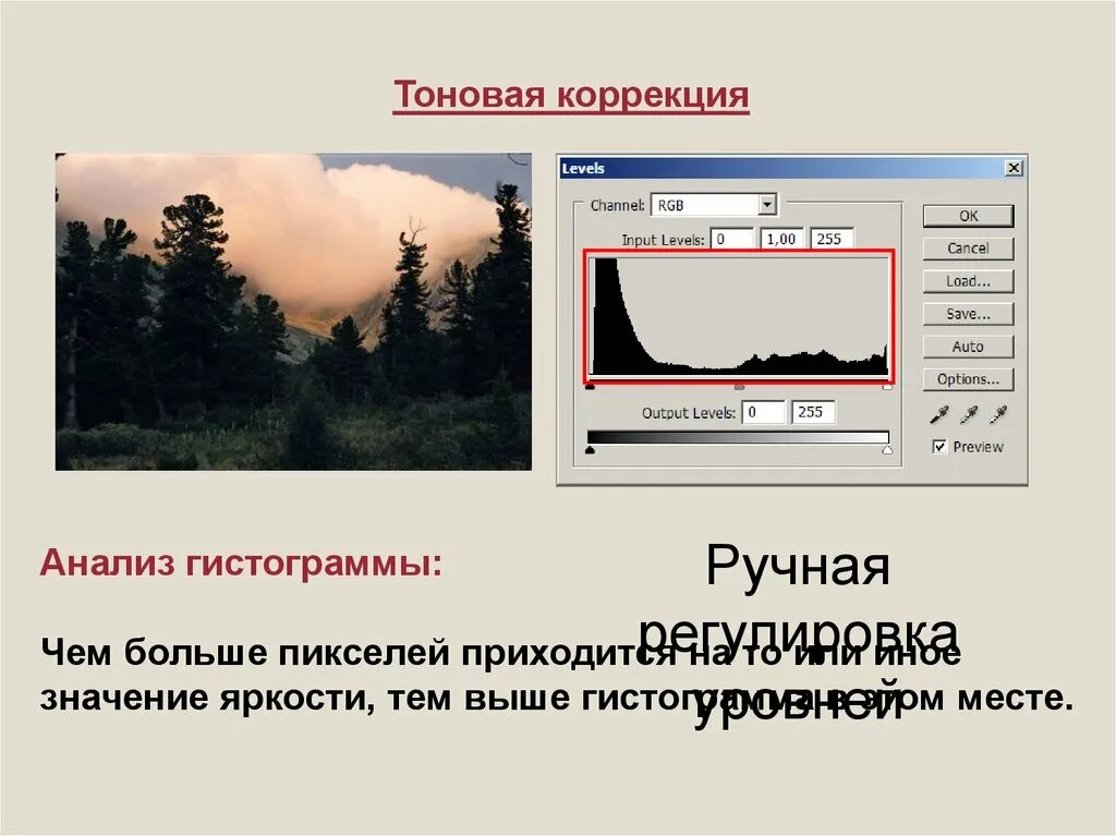 Корректировка изображения. Тоновая коррекция в фотошопе. общая тоновая коррекция изображения проводится в целях. тоновая коррекция изображения в фотошопе картинки. фотошоп коррекция гистограмма.
