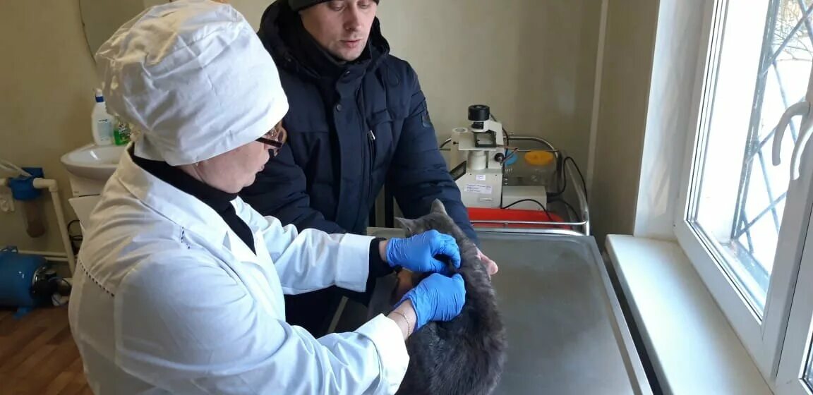 Иркутская городская станция по борьбе с болезнями животных. Ветклиника майск ангарск. Майск ветеринарная. Майск ветеринарная. Ветклиника троицк.
