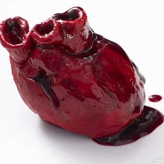 Сердце быка