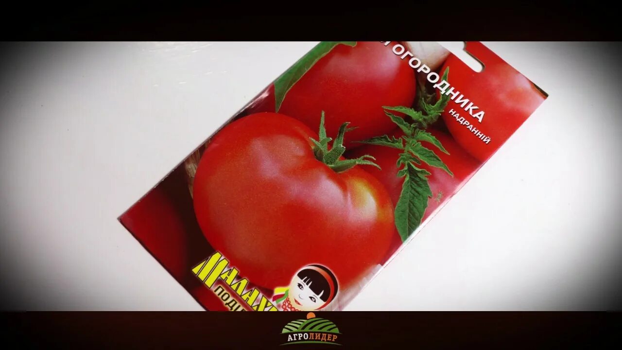 Сорт помидоров мечта. Семена томат мечта огородника. томат мечта алисы. томат мечта лентяя. томат мечта огородника характеристика и описание.