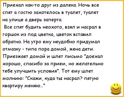 Анекдот про унитаз. Анекдоты про туалет. Шутки про туалет на улице. Анекдоты про туалет для детей.