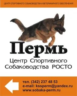 Роо пермская