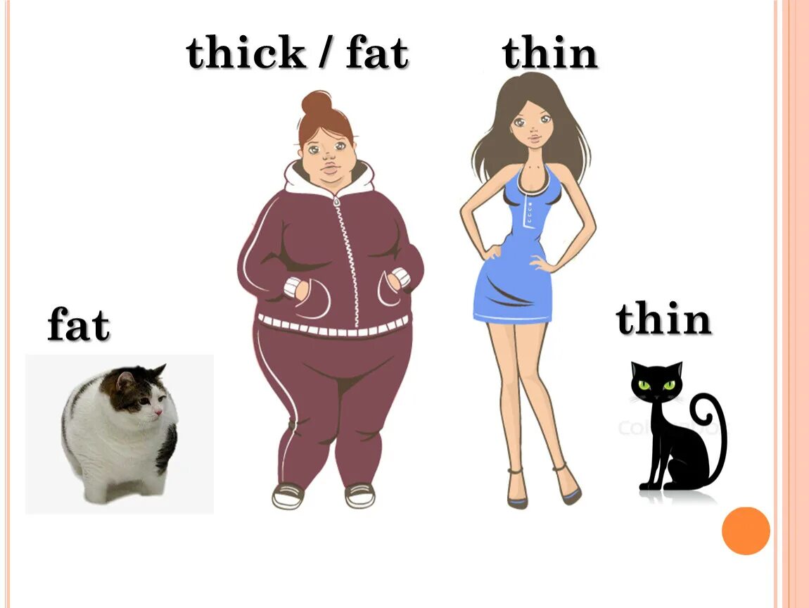 Похудение крео до после. Thick fat. Стройность до и после. Картинки fat thin. Fat thin body long.