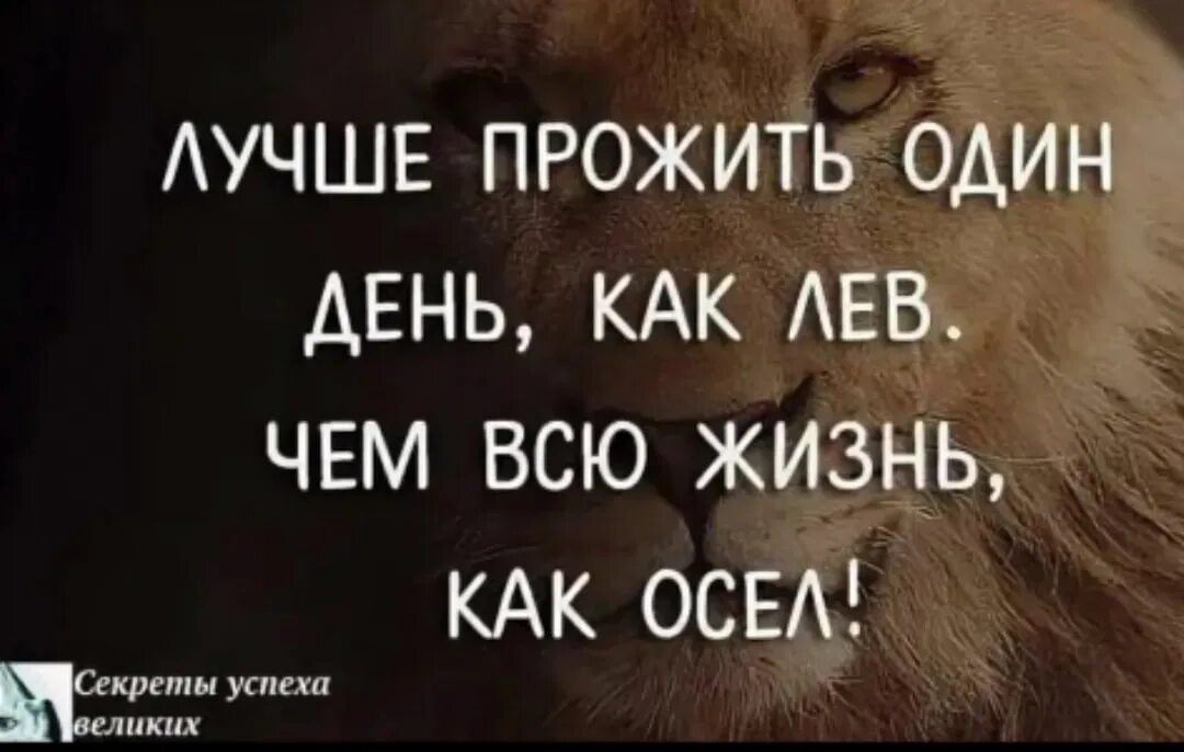 Как жизнь все хорошо живу. Проживи жизнь достойно цитаты. Жить одним днем цитаты. Лучше Одень день прожить. Жизнь одна и надо прожить ее достойно.