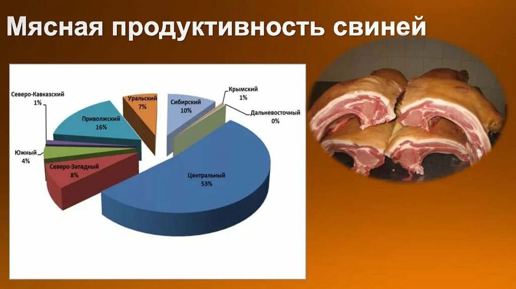 Таблица замера свиней. 1с:предприятие 8. Продуктивность свиноматки. Селекция в животноводстве. Показатель мясной продуктивности свиней таблица.