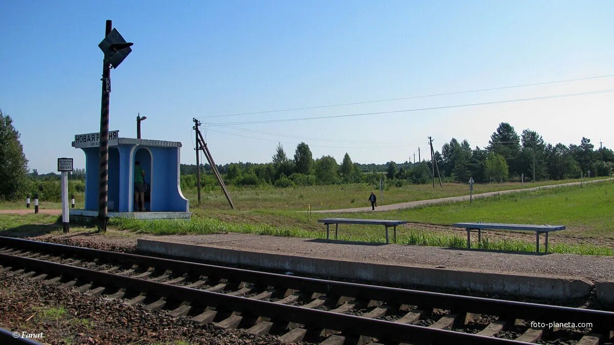 Деревня рудня. Новая рудня (гомельская область). деревня рудня беларусь. село рудня воронежская область. оголицкая рудня.