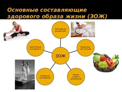 Общая составляющая здоровья человека