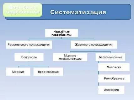 Методы исследований рыб