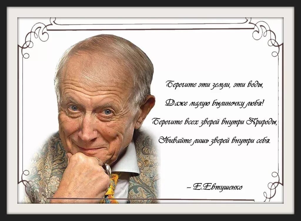 Евтушенко портрет писателя. Евтушенко стихи. Любое стихотворение евтушенко