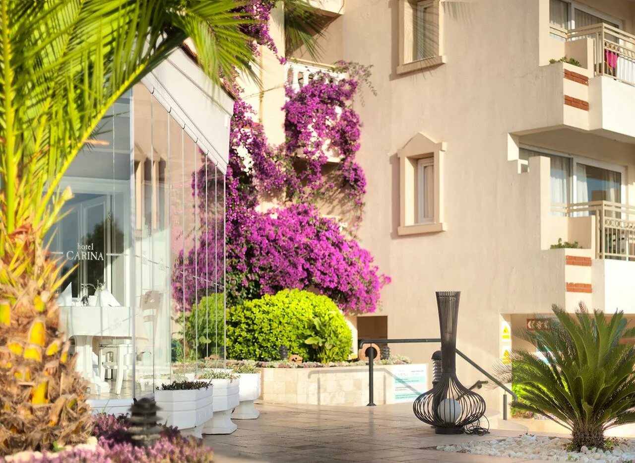 Измир турция кушадасы. Carina hotel. Carina a hot. Carina hotel istanbul. Carina hotel.