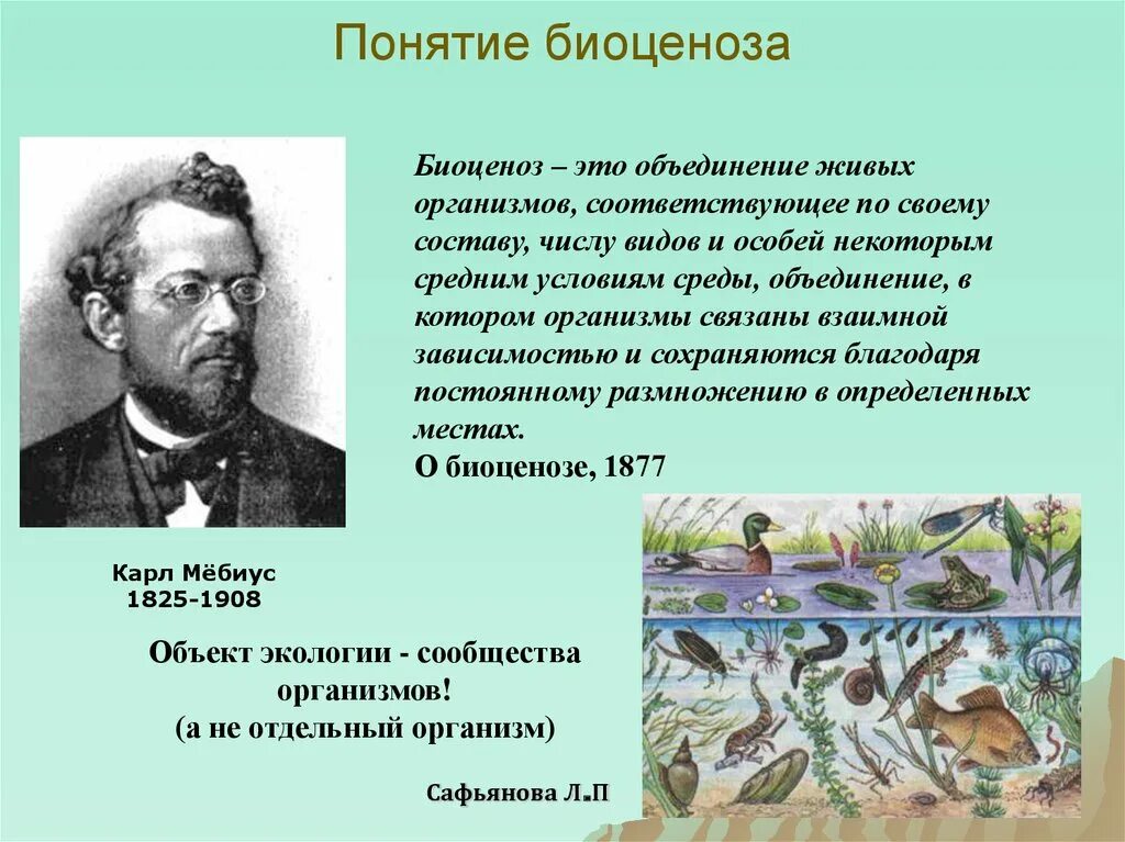 Биоценоз. Понятие биоценоз. Биоценоз это в экологии. Презентация на тему биоценоз.