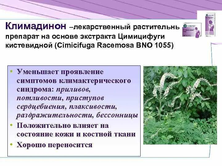 Цимицифуга инструкция по применению отзывы. Цимицифуга корневище экстракт. экстракт цимицифуги кистевидной (. фитоэстрогены цимицифуга. цимицифуга кистевидная таблетки.