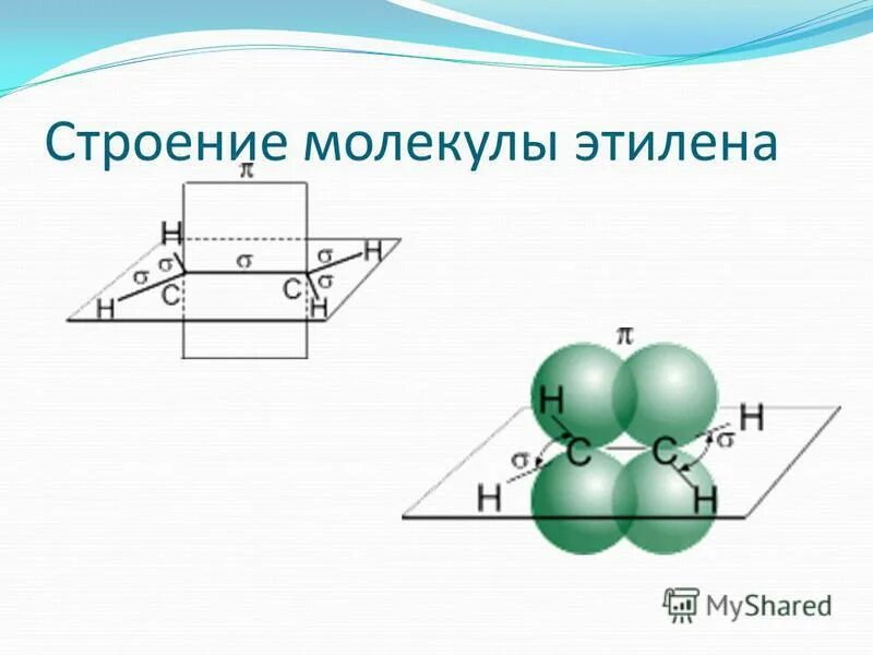 Этилен гибридизация атома углерода. Строение молекулы этилена sp2. Электронное и геометрическое строение молекулы этилена. Строение молекулы этилена. Пространственное строение этилена.