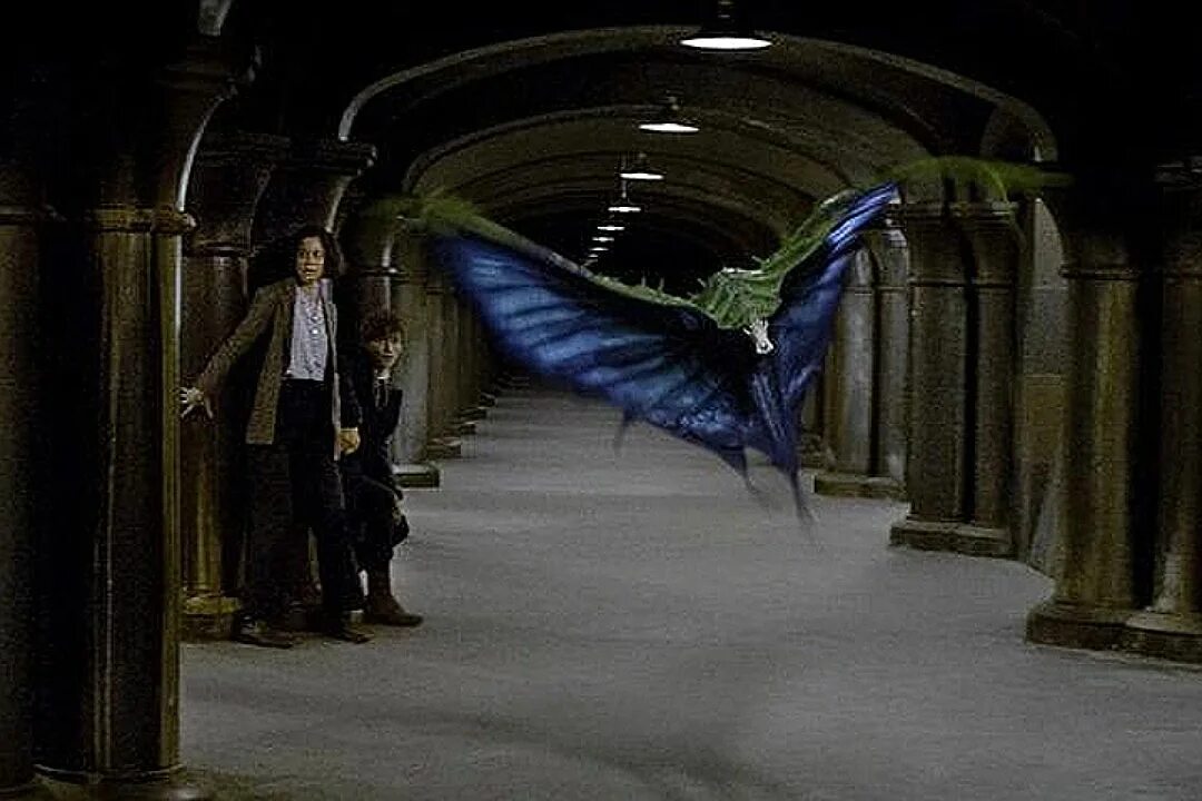 Нунду фантастические твари. Гарри поттер пикирующий злыдень. Пикирующий злыдень фантастические твари. Смеркут. Пикирующий злыдень фантастические твари.