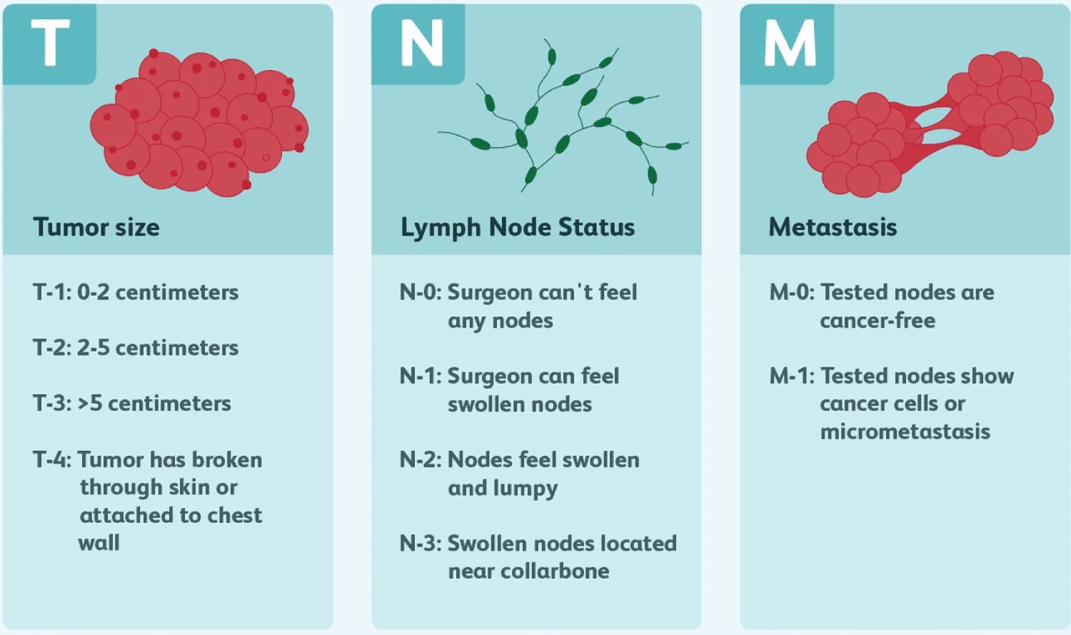 Операция рака молочной железы 1 стадии. Стадии рмж tnm. tnm8 метастаз. tnm breast cancer. breast cancer staging.