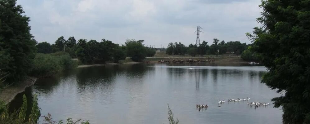 Нововладимировская Краснодарский край. Нововладимировская Тбилисского района. Станица Ловлинская Краснодарский край. Станица Новобекешевская Тбилисского района. Станица нововладимировская краснодарский край