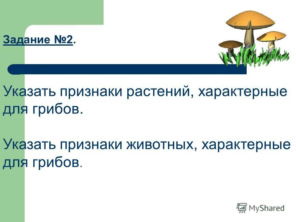 Укажи признак характерный для животных. Признаки характерные для грибов и животных. признаки грибов характерные для растений. для грибов характерно. признаки растений и животных у грибов.