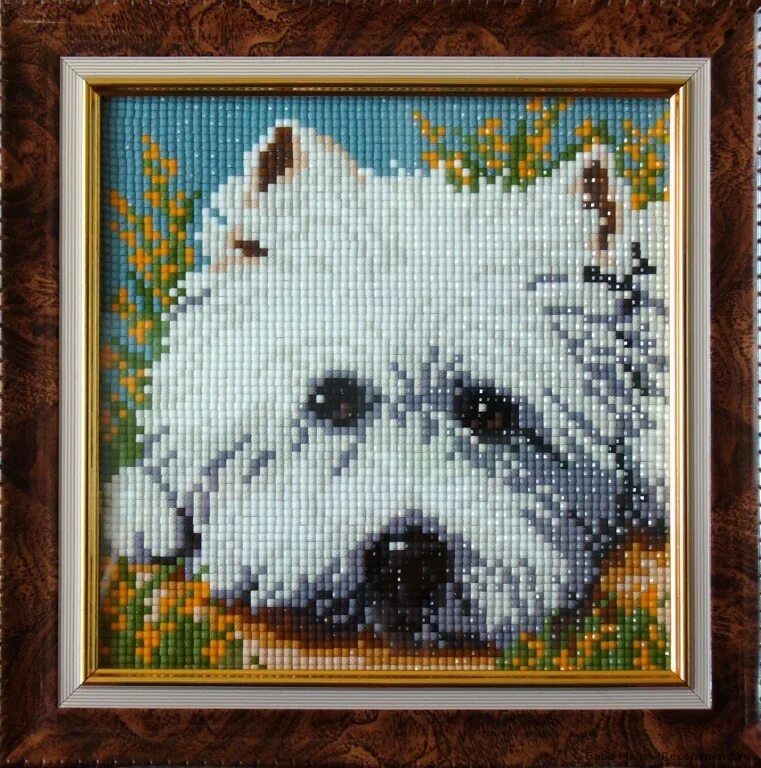 алмазная вышивка работа. алмазная мозаика вест хайленд. алмазная мозаика. алмазная мозайка на рамке. алмазная вышивка работа.