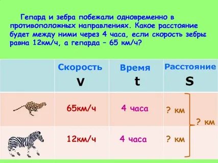 Скорость животных км в час