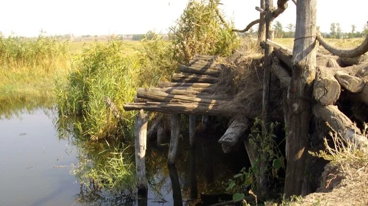 Река Бейсуг на карте. Река Бейсуг описание. Сообщение о реке Бейсуг.