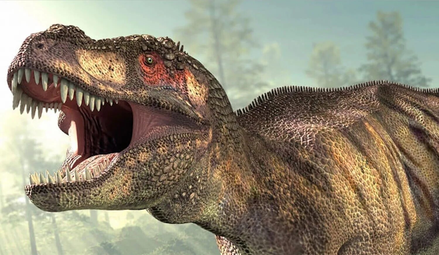 Самый последний динозавр. Yovuz dinozavrlar. dinozavrlar 2000. динозавр о котором мечтает каждый. dinozavrlar 2013.