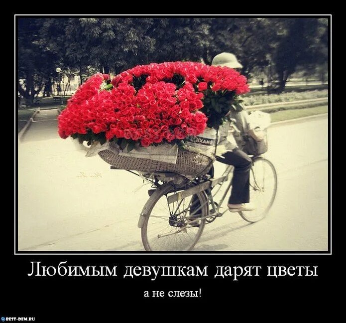 Не тот подарок дорог. Дарите девушкам цветы. Прикольные цветы. Шутки про букеты цветов. Шутки про цветы.