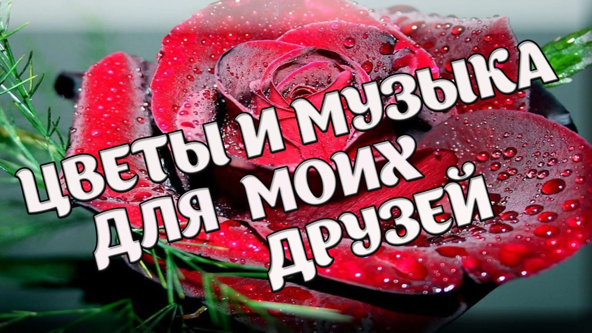 Открытка "другу!". Музыкальная открытка. Лето любовь. Красивые видео друзья. Красивое видео с цветами.