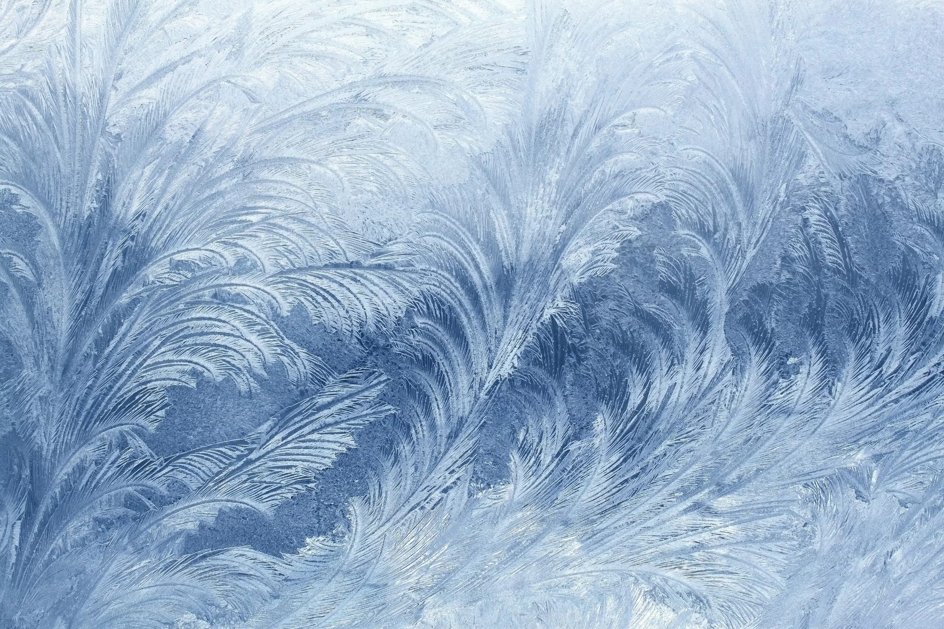 Лет текстура. Зимние узоры. Морозные узоры. Снежные узоры. Морозные узоры на окне.