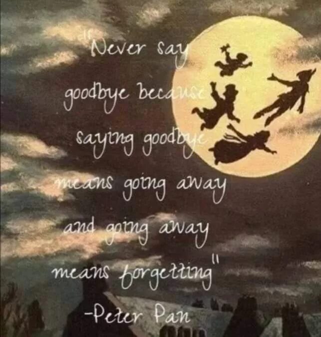 Bitter path. Goodbye фото. Carried away. Let go bye. Friends текст.