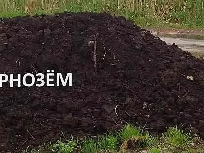 Русский чернозем работа. Чернозем. плодородный чернозем. торф перегной. чернозем от торфа.